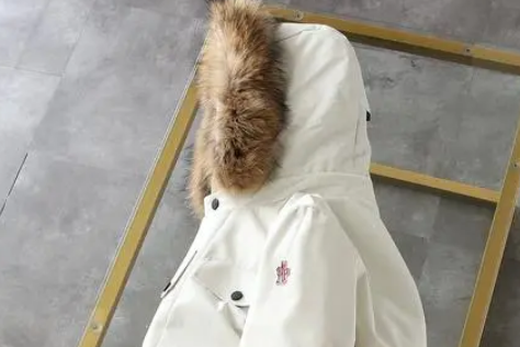 羽絨類檢測(cè)